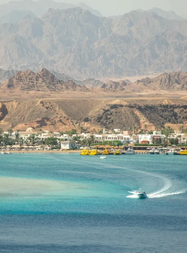 pexels-vika-glitter-392079-18894861