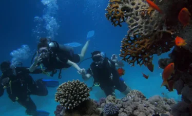 Hurghada Divers Waving Peace to Camera Man